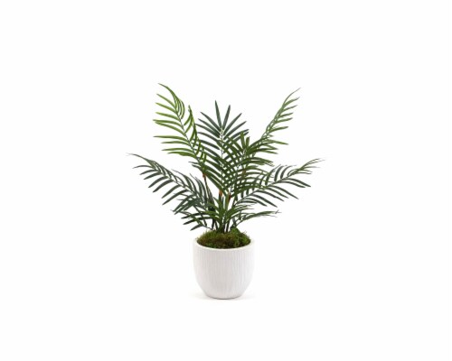 Silkcraft Small Areca Carved Texture Pot Plant Perspective: front