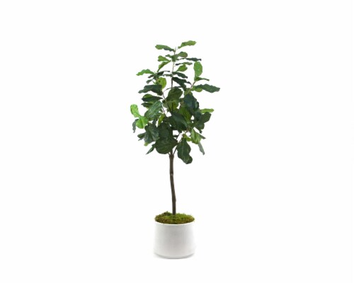 Silkcraft Large Fiddle Snakeskin Pot Plant Perspective: front