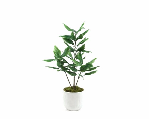 Silkcraft Medium Hosta Carved Texture Pot Plant Perspective: front