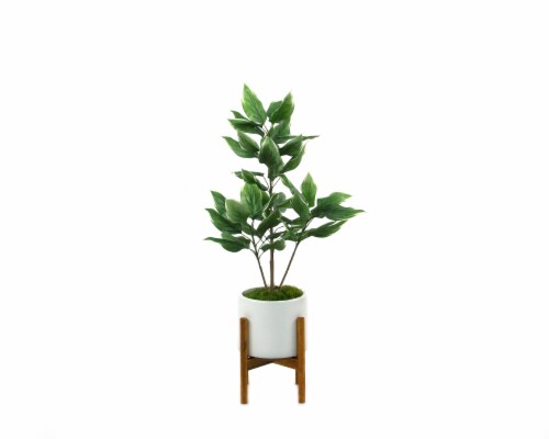 Silkcraft Medium Hosta Matte Potted Plant with Stand Decor - White Perspective: front