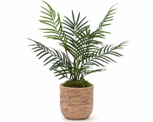 Silkcraft Small Artificial Areca Palm Plant in Woven Pot Perspective: front
