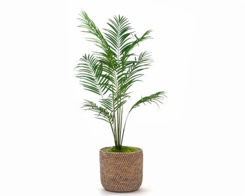 Silkcraft Medium Artificial Areca Palm Plant in Woven Pot Perspective: front