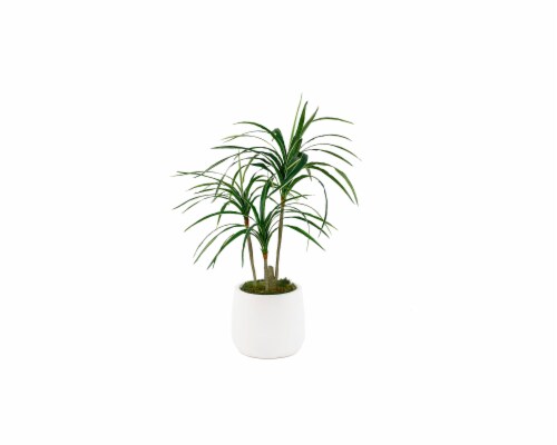 Silkcraft Small Artificial Yucca Tree Plant in Round Pot - White Perspective: front