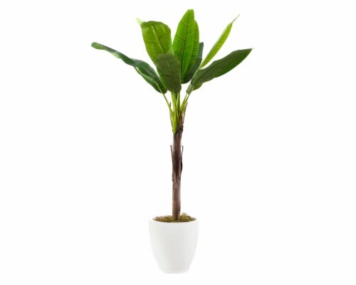 SilkCraft Banana Tree Tapered Base Potted Plant Perspective: front