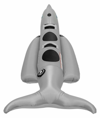AIRHEAD 2P TOWABLE - DOLPHIN Perspective: front