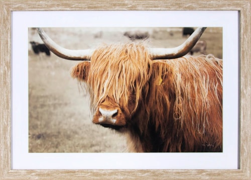 Patton Cow Wall Art Perspective: front