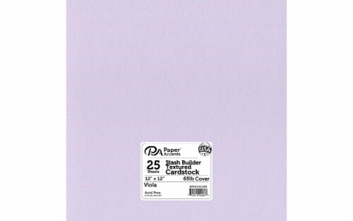 Cdstk Stash Builder 12x12 65lb 25pcPk Textrd Viola Perspective: front