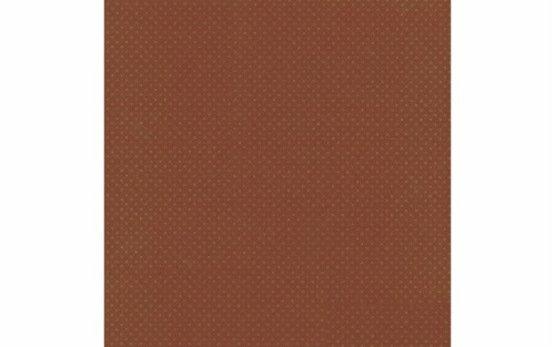 Cdstk Mini Dots 12x12 80lb 25pc Pk Allspice UPC Perspective: front