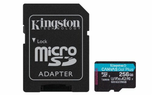 Kingston Canvas Go Plus 256 GB SD Card Perspective: front