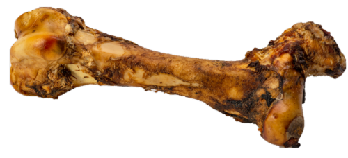 Butcher's Block Goliath Bone Dog Treat Perspective: front