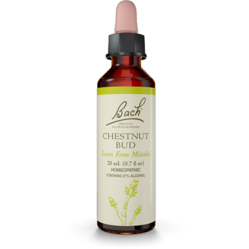 Bach Chestnut Bud Flower Essences Perspective: front