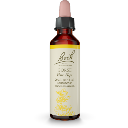 Bach Gorse Flower Essence Perspective: front