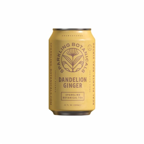 Rishi Tea Sparkling Botanicals Dandelion Ginger Tea Perspective: front