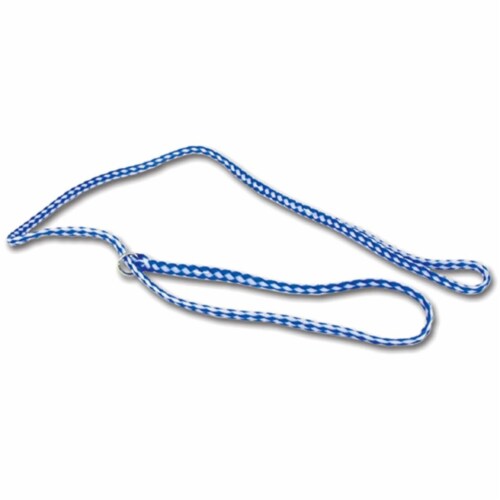 Nylon kennel on sale lead