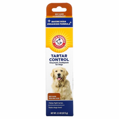 Can dogs have toothpaste discount