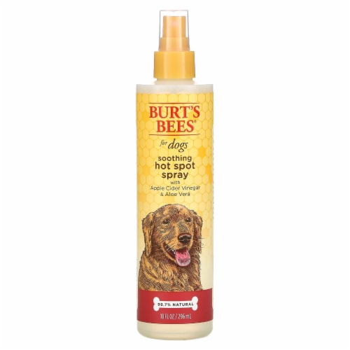 Apple cider vinegar spray for dogs 2025