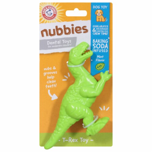 Arm & Hammer Denta-Saurus T-Rex Mint Flavor Dog Toy, 1 ct - Harris Teeter