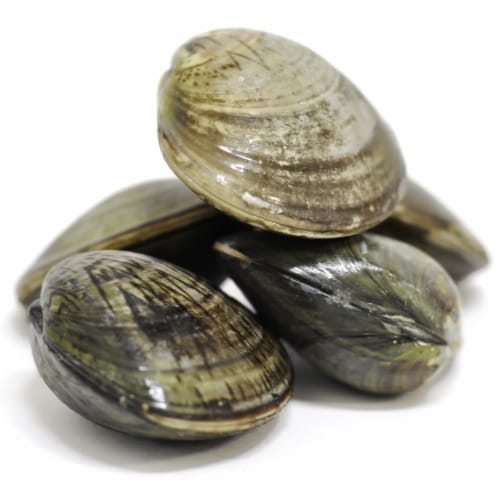 Harris Teeter Farm Raised Littleneck Clams Perspective: front
