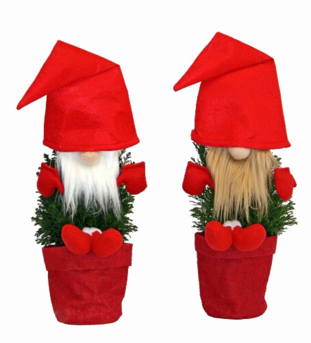 Cypress Christmas Gnome Potted Plant Perspective: front