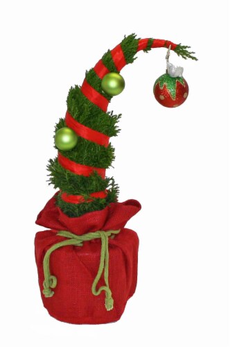 European Cypress Whooville Tree in Burlap Perspective: front