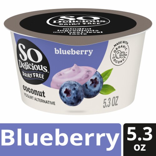 SO Delicious® Blueberry Coconut Milk Yogurt Alternative Perspective: front