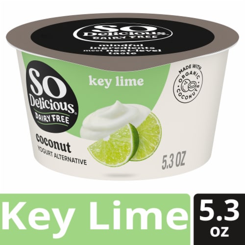 SO Delicious® Key Lime Dairy Free Coconut Milk Yogurt Cup Perspective: front