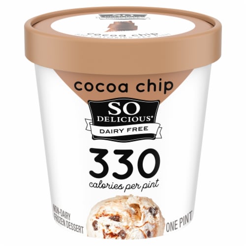 SO Delicious® Dairy Free Cocoa Chip Frozen Dessert Pint Perspective: front