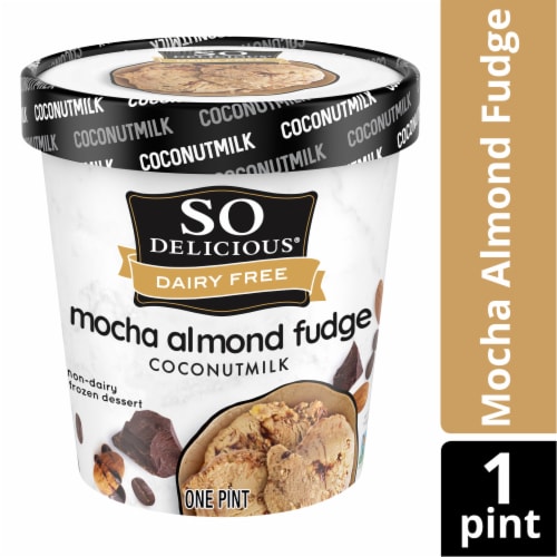 SO Delicious Dairy Free Mocha Almond Fudge Coconutmilk Frozen Dessert Perspective: front