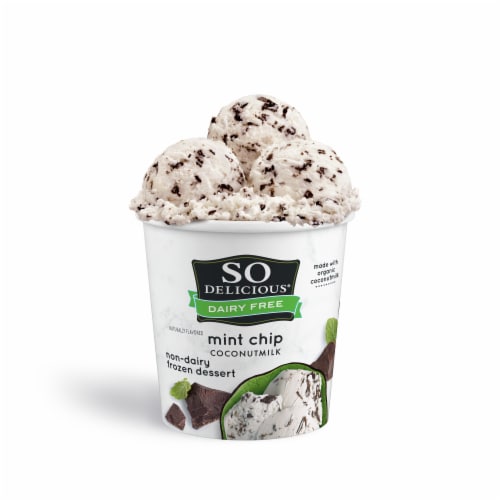 SO Delicious Mint Chip Coconutmilk Dairy Free Frozen Dessert Perspective: front