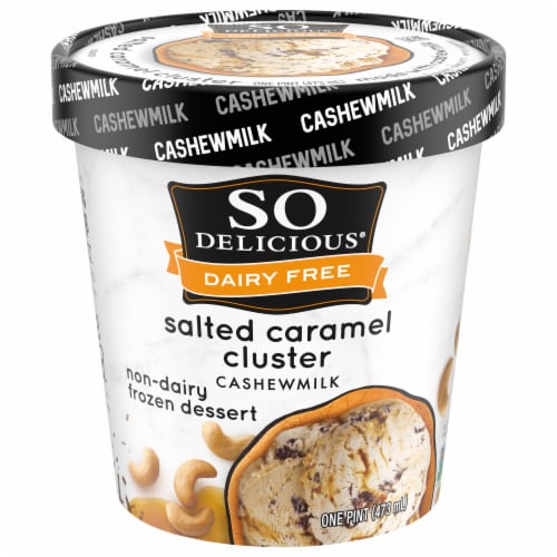 SO Delicious Salted Caramel Cluster Cashewmilk Dairy Free Frozen Dessert Perspective: front