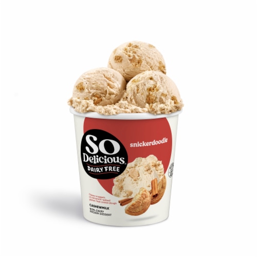 SO Delicious Snickerdoodle Cashewmilk Dairy Free Frozen Dessert Perspective: front