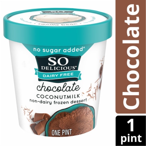 SO Delicious Dairy Free Chocolate Coconutmilk Frozen Dessert Perspective: front