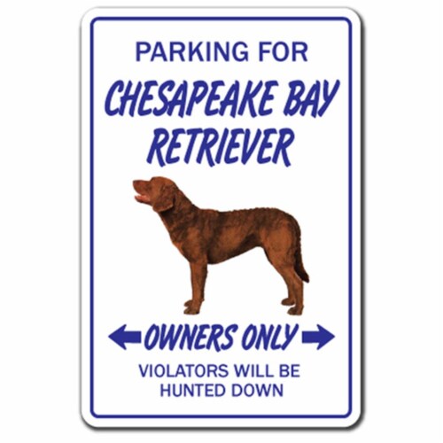 SignMission 8 x 12 in. Chesapeake Bay Retriever Decal - Dog Pet Parking Hunting Hunt Vet Bree Perspective: front