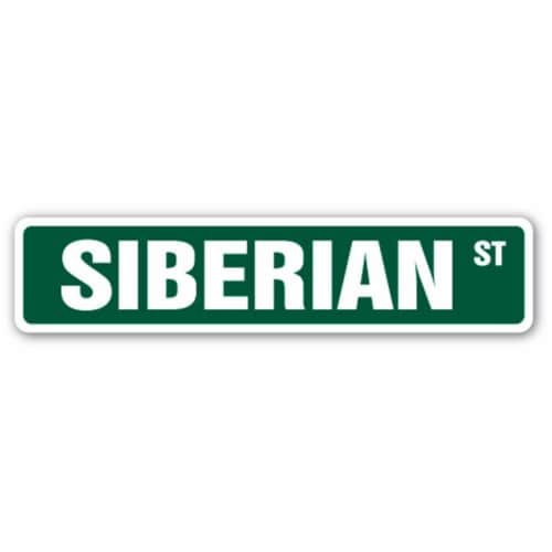 SignMission D-8-Z-Siberian 8 x 12 in. Novelty Sticker - Siberian Husky Perspective: front