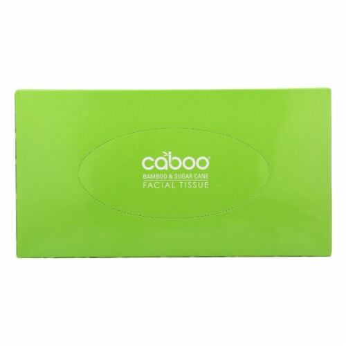 Caboo - Facial Tissue 120ct 3ply - Case of 12-1 Count Perspective: front