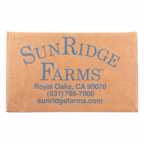 Sunridge Farms All Natural Sea Salt & Apple Cider Vinegar Cashews - Single Bulk Item - 12LB Perspective: front