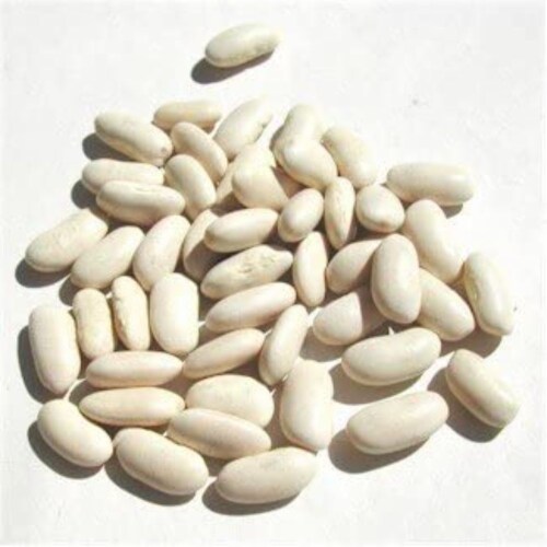 Bulk Peas and Beans Great Northern Beans - Single Bulk Item - 25LB Perspective: front