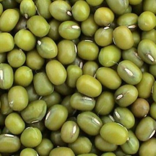 Bulk Peas and Beans Organic Mung Beans - Single Bulk Item - 25LB Perspective: front