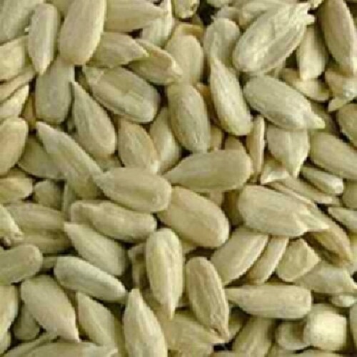 Seeds Sunflower Seed Hulled - Single Bulk Item - 25LB Perspective: front