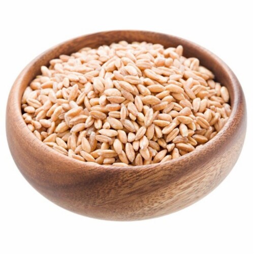 Bulk Grains 100% Organic Farro Pearled - Single Bulk Item - 11LB Perspective: front
