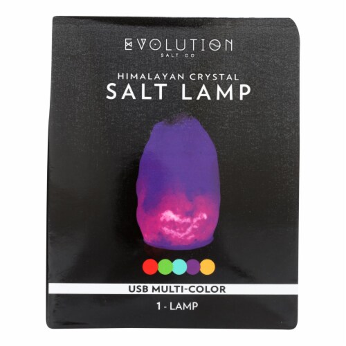 Evolution Salt Lamp - USB - Natural - Multi Color Changing - 1 Count, 1  Count - City Market