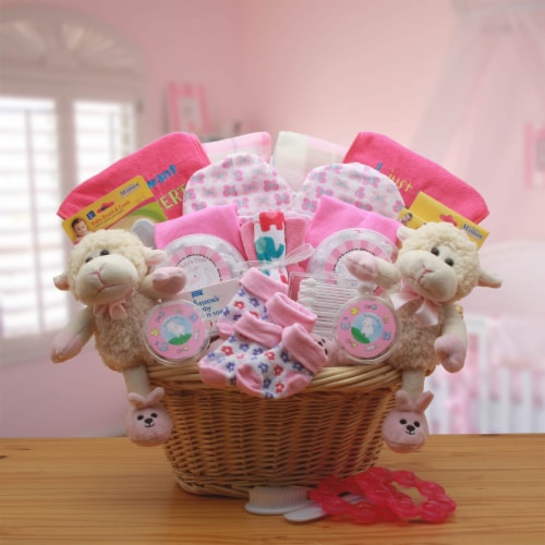 My First Teddy Bear New Baby Gift Basket - Pink - baby bath set - baby girl  gifts, One Basket - Kroger