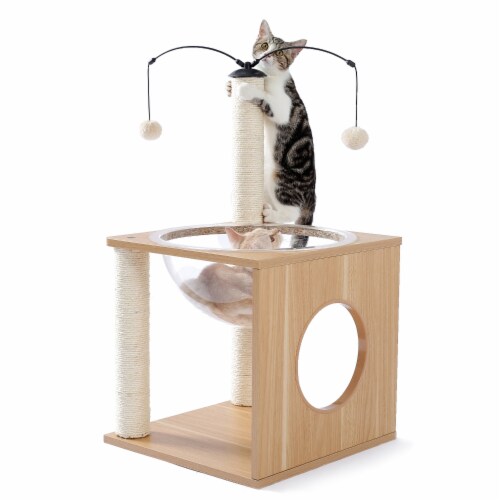 Cat online bed perch