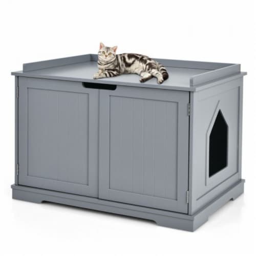 Cat in litter box for a long time discount