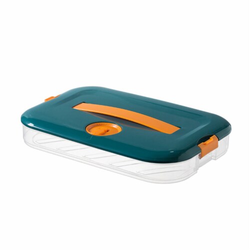 Department Store 1pc Refrigerator Dumpling Storage Box; Frozen Household Large (One-layer) Perspective: front