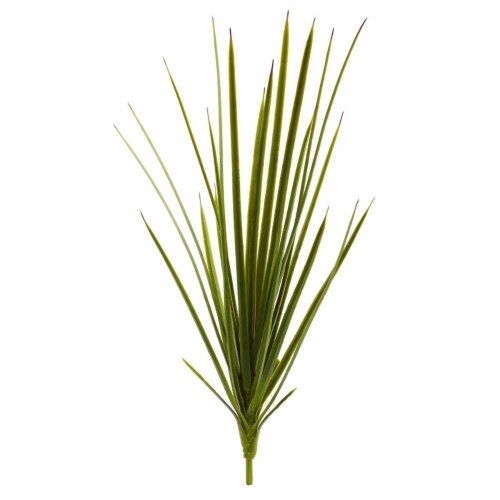 23 in. Agave Schottii, Set of 3 Perspective: front