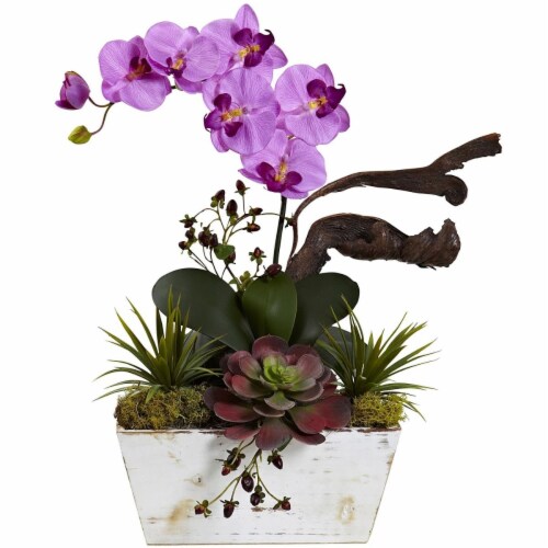 Orchid & Succulent Garden with White Wash Planter, Dark Purple Perspective: front