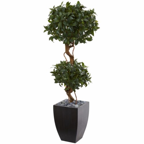4.5 ft. Sweet Bay Artificial Double Topiary Tree in Black Wash Planter Perspective: front