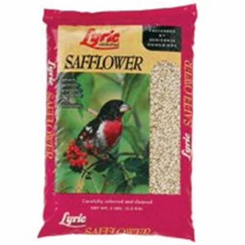 26-47275 Lyric Safflower Seed - 5 Lbs. Perspective: front