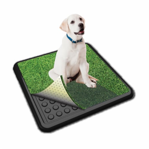 Indoor turf dog clearance potty